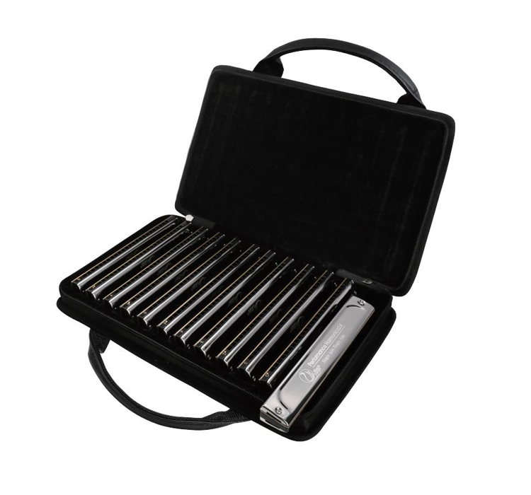 SW24-STBK-12T-JS 24 hole black swan single tone 12-tune set-packing harmonica(gift bag)/metal comb
