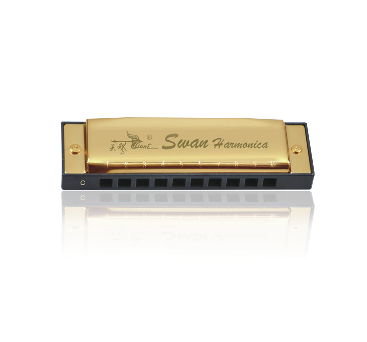 SW1020-5 10 hole 20 tone copper reed plate golden square harmonica(plastic box)