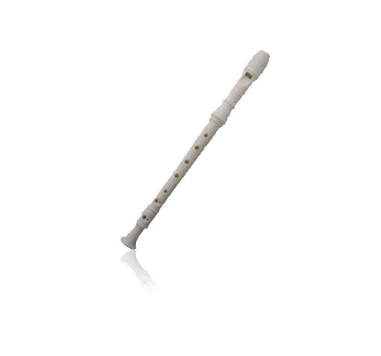 SW8K-PP 8 hole PP recorder(transparent bag with cleaning stick)