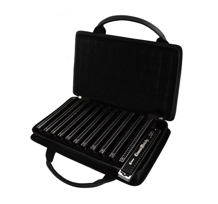 SW24H-BK12T 24 hole 12-tune black swan suit senior playing harmonica(gift bag)