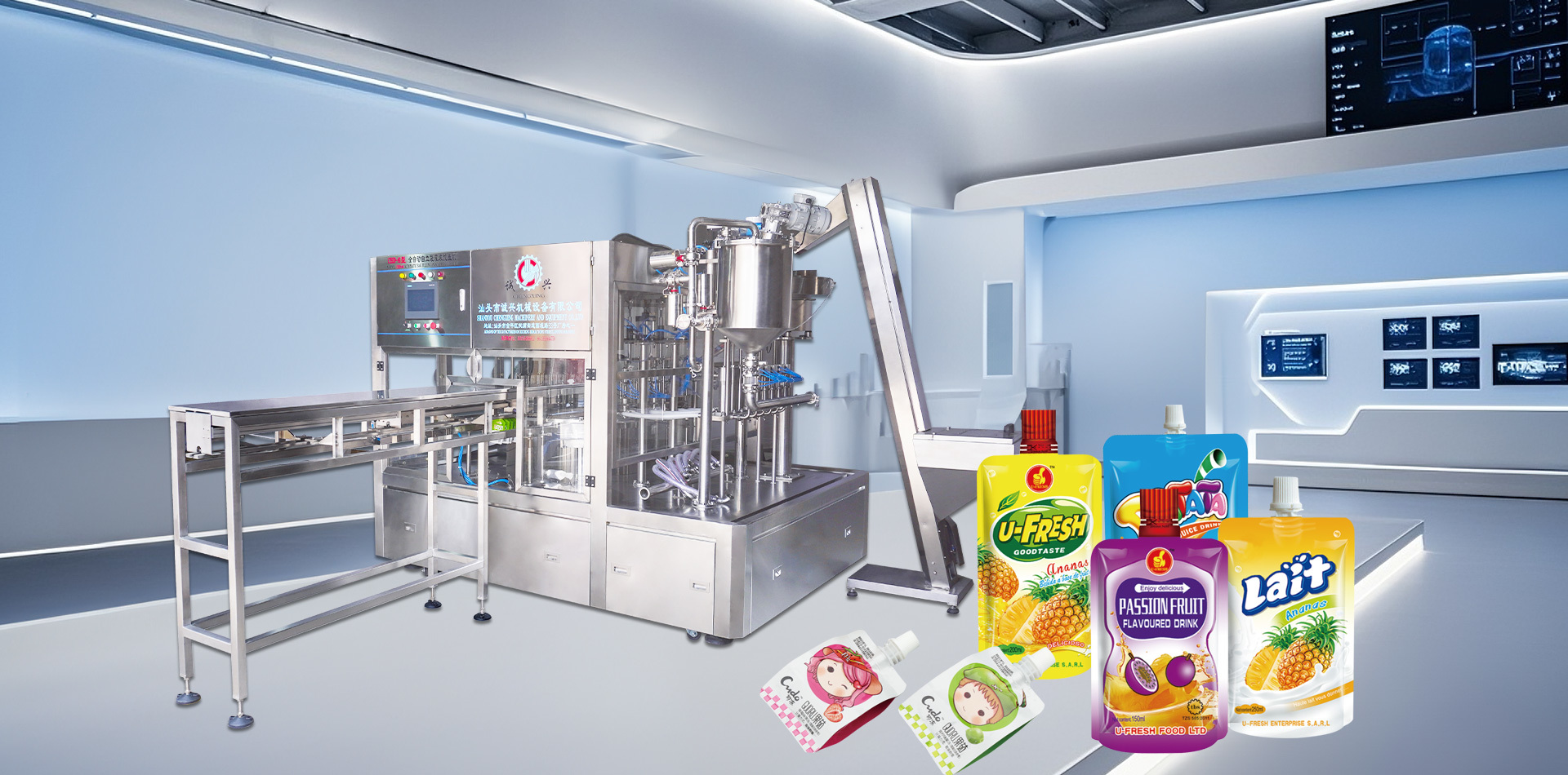 CHD-6 Fully Automatic Self standing Bag Filling and Capping Machine