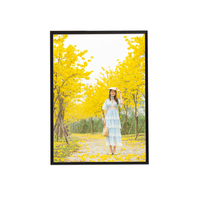 13.3 Inch 1200*1600 Bluetooth E-Paper Ink Screen Photo Frame