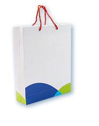 paper bag