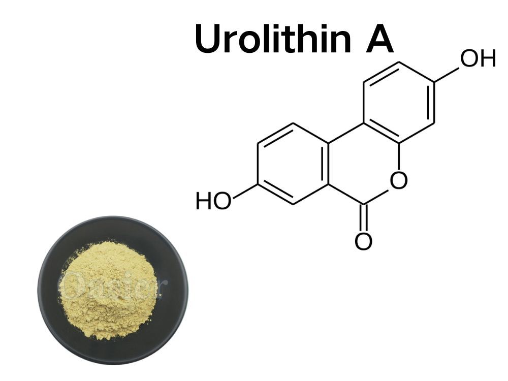 UA Anti-Aging Agent