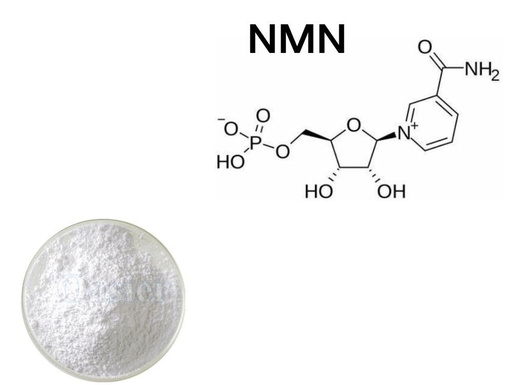 NMN antioxidant
