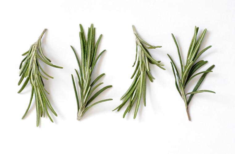 rosemary acid feed additive