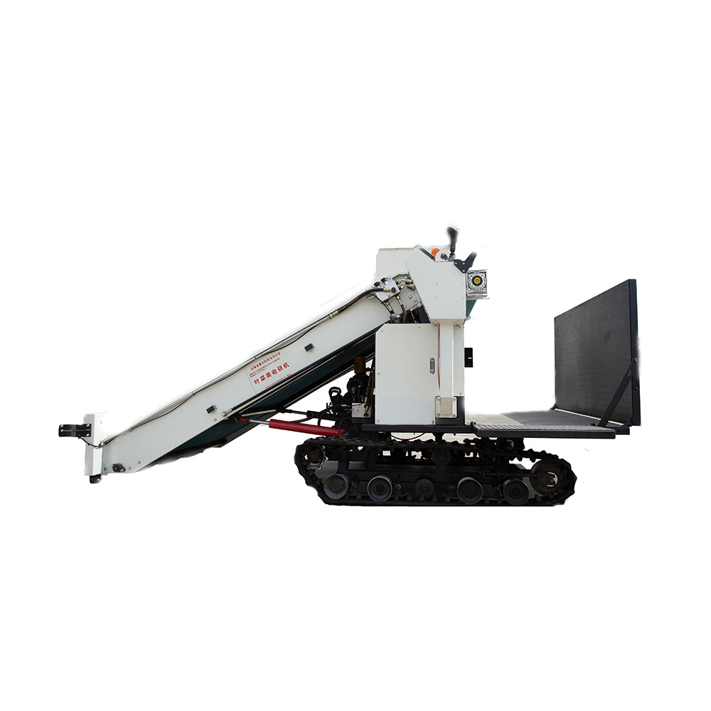 How to Achieve a Successful Harvest with Chinese Leafy Vegetable Equipment