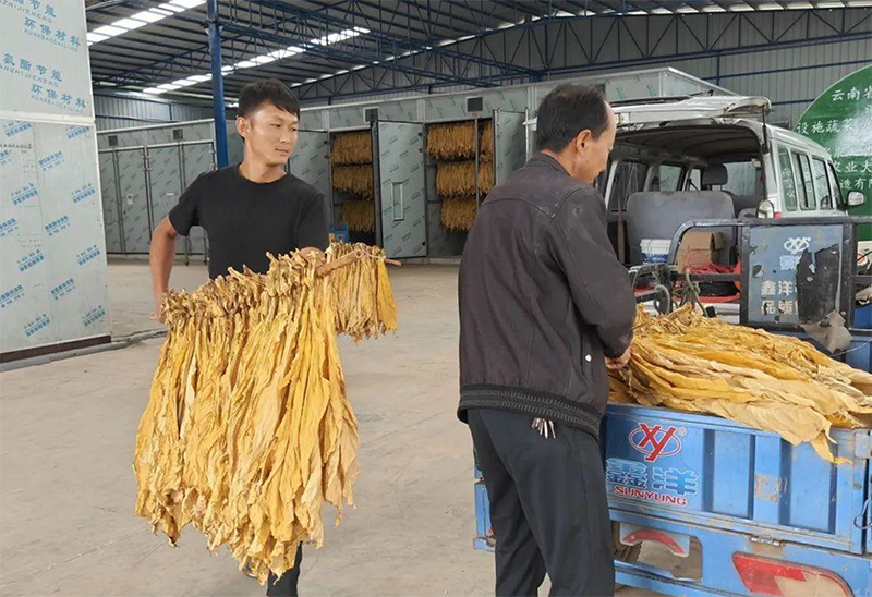 叶菜类蔬菜收割机的作业效率是多少？