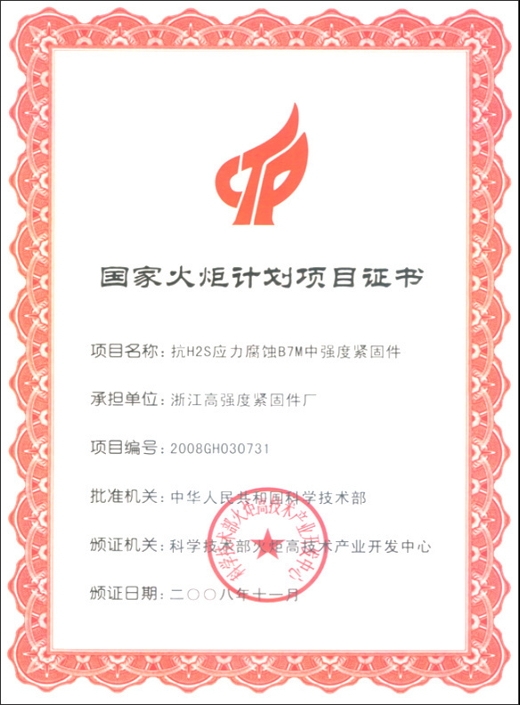 National Torch Program Project Certificate