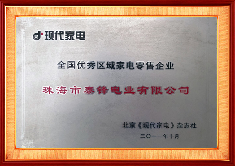 優秀區域家電零售企業