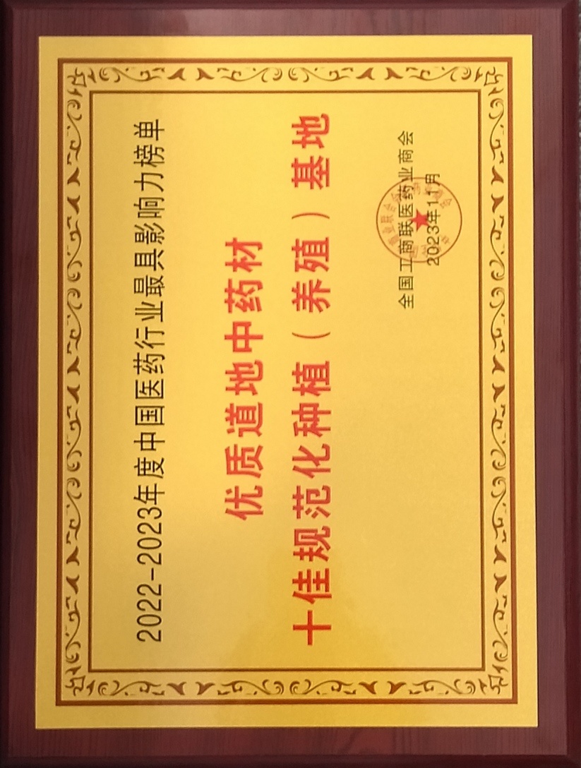 Jiuhua Honor