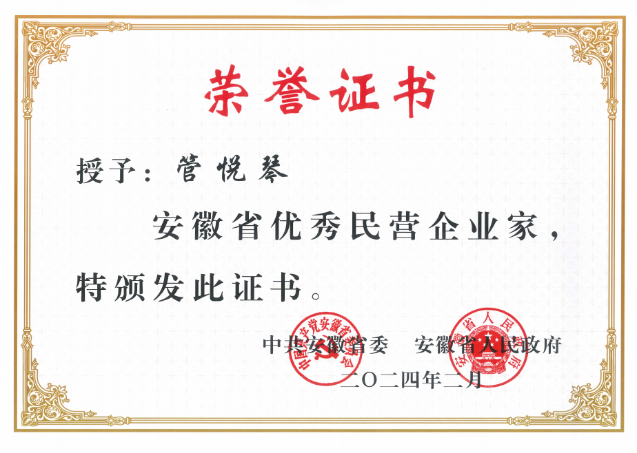 安徽省优秀民营企业家