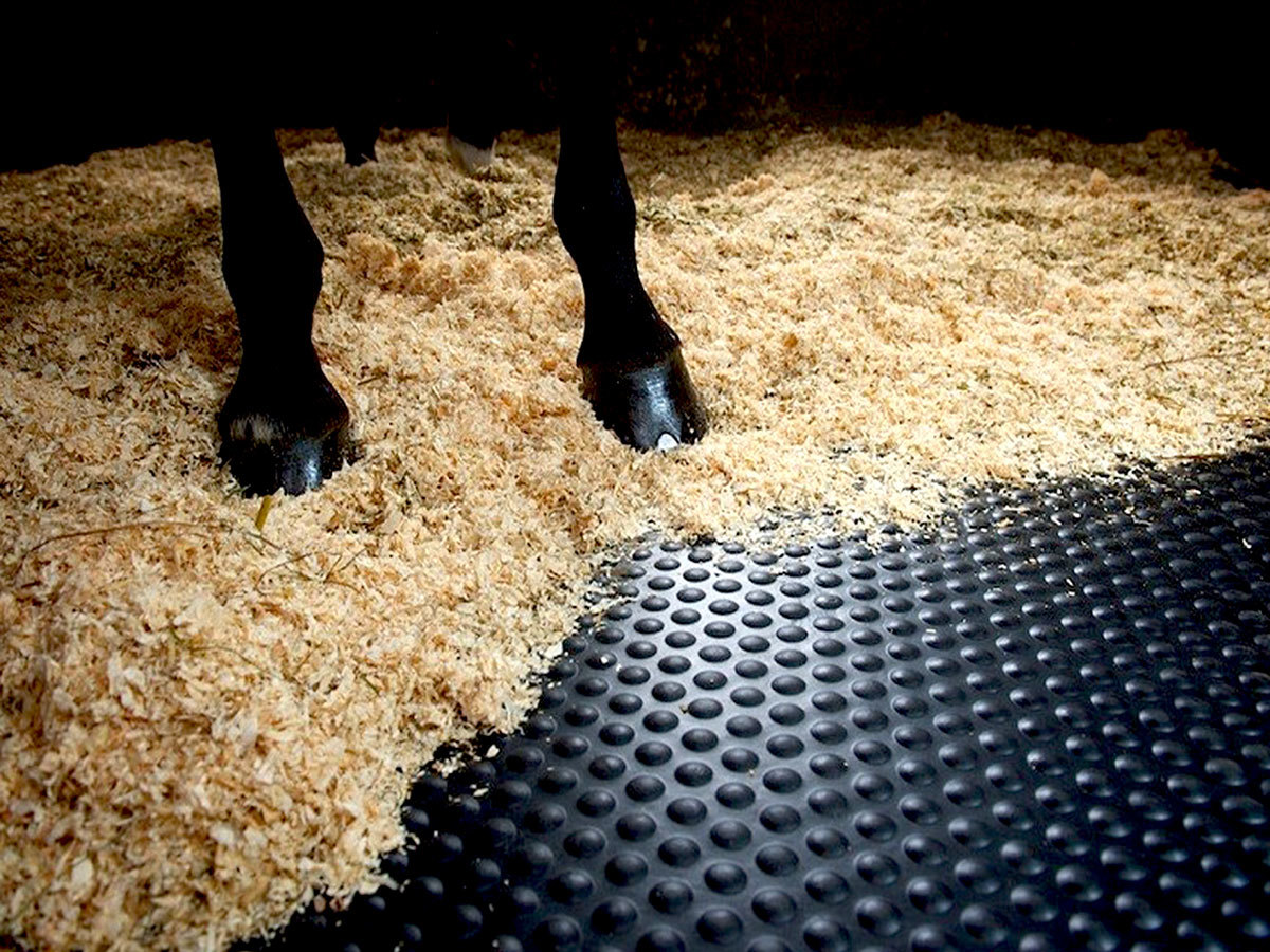 17mm 1x2m 4x6ft Round Dot Stall Horse Mat with Straight Edge in Piece