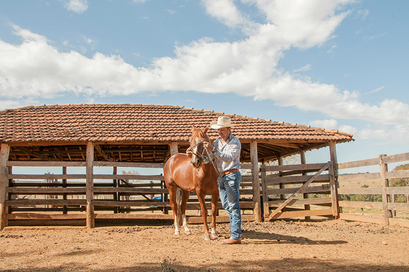 Temporary Horse Stables: The Ultimate Guide for Events, Shows, and Emergency