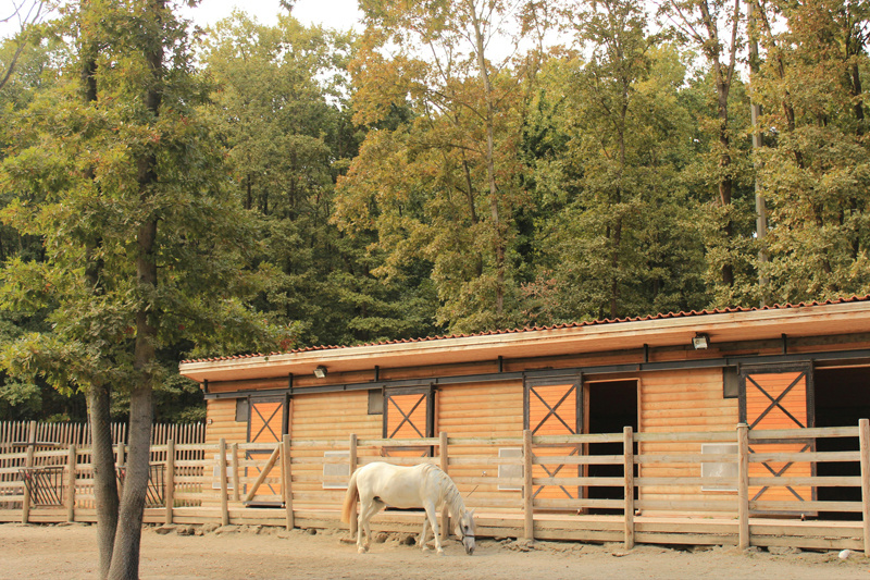 How to Choose the Right European Style Horse Stable for Your Barn Project