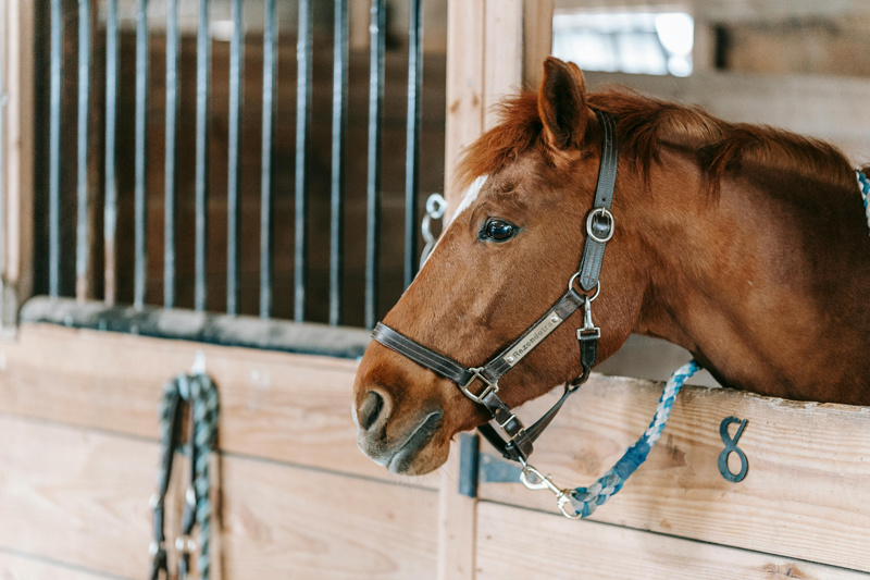 Durability and Design: Best Materials for Stable Side and Back Panels
