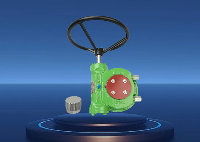 QUARTER-TURN WORM GEAR BOX