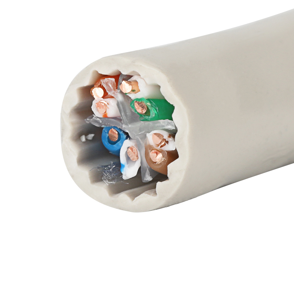 CAT6A UTP single share