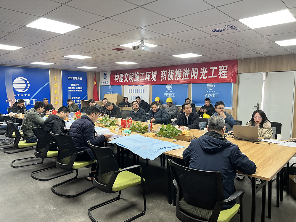 东部新城专家现场竣工验收