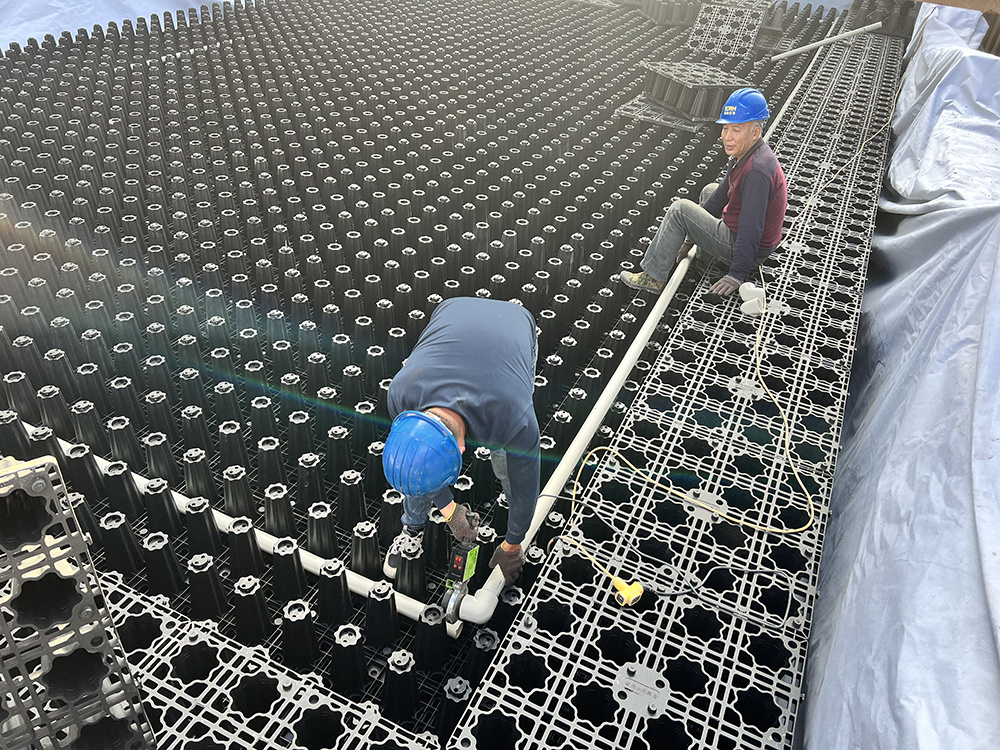 高桥粮库项目现场施工图片