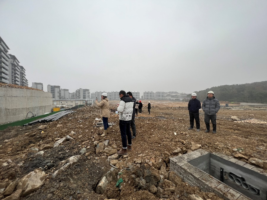 专家亲临九龙湖工地指导