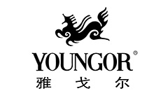 雅戈尔