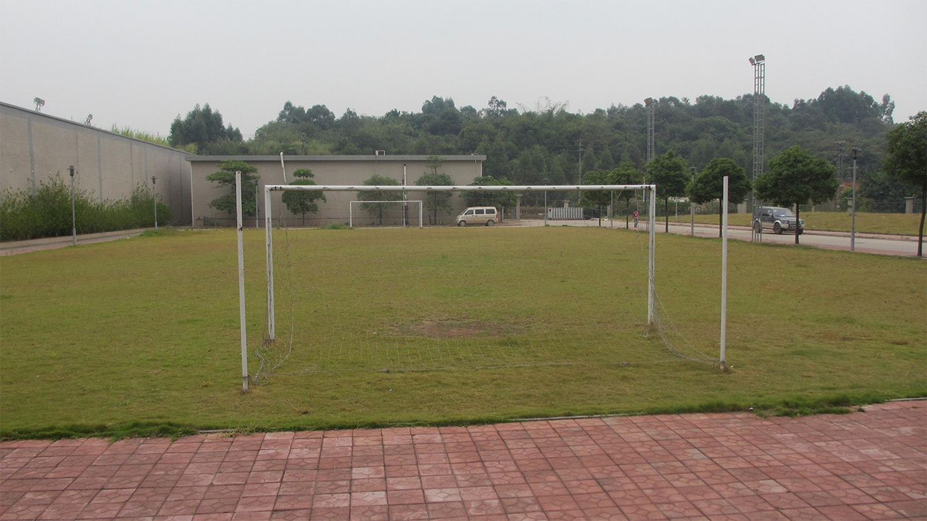 Soccer pitch