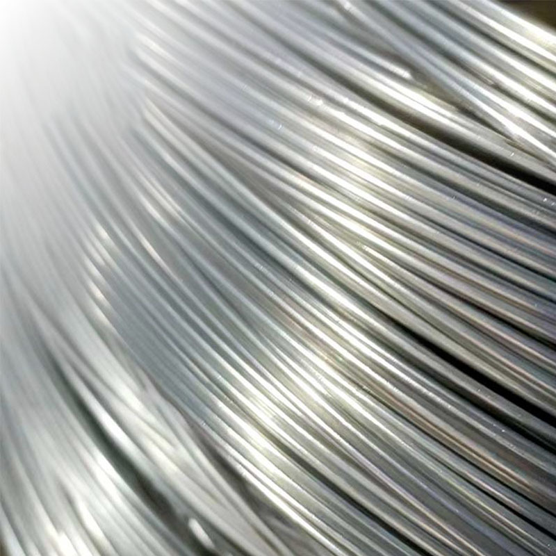 Galvanized Steel Wire