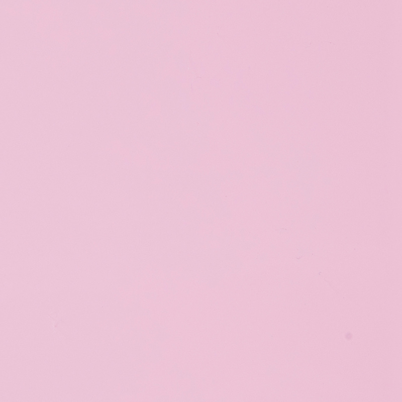 3029