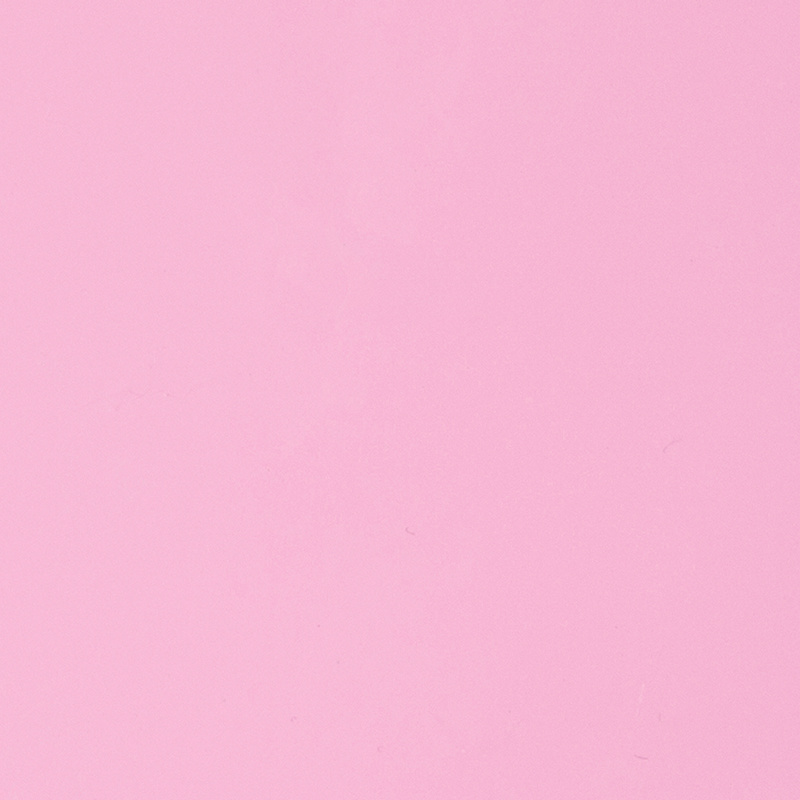 3019