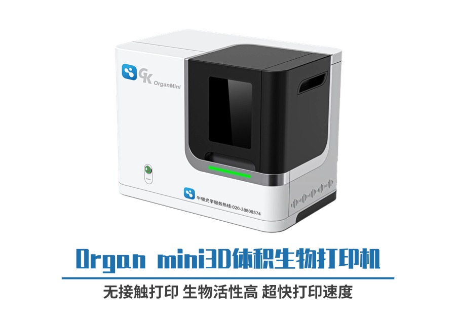 OrganMini.jpg