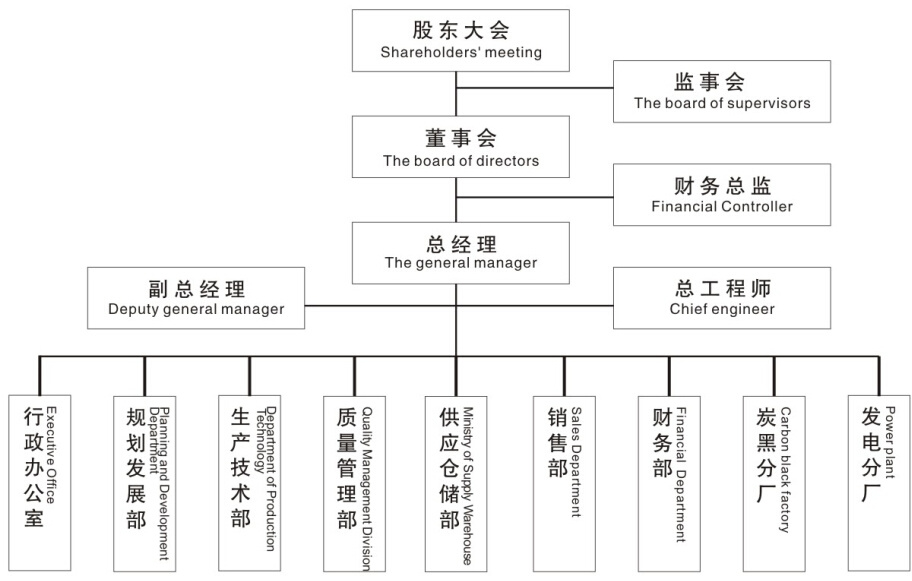 正版资料大全全年2019 小说