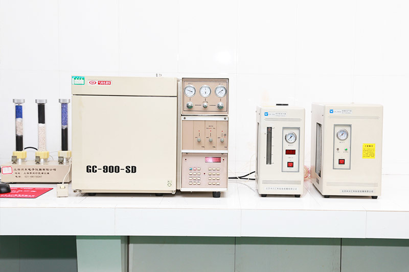 Gas Chromatograph