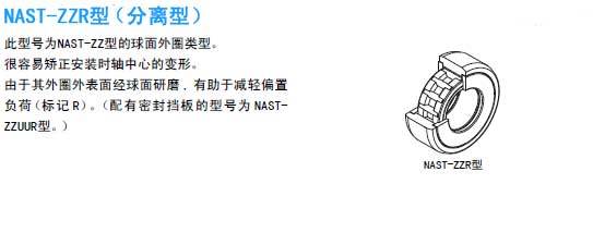 NAST-ZZR