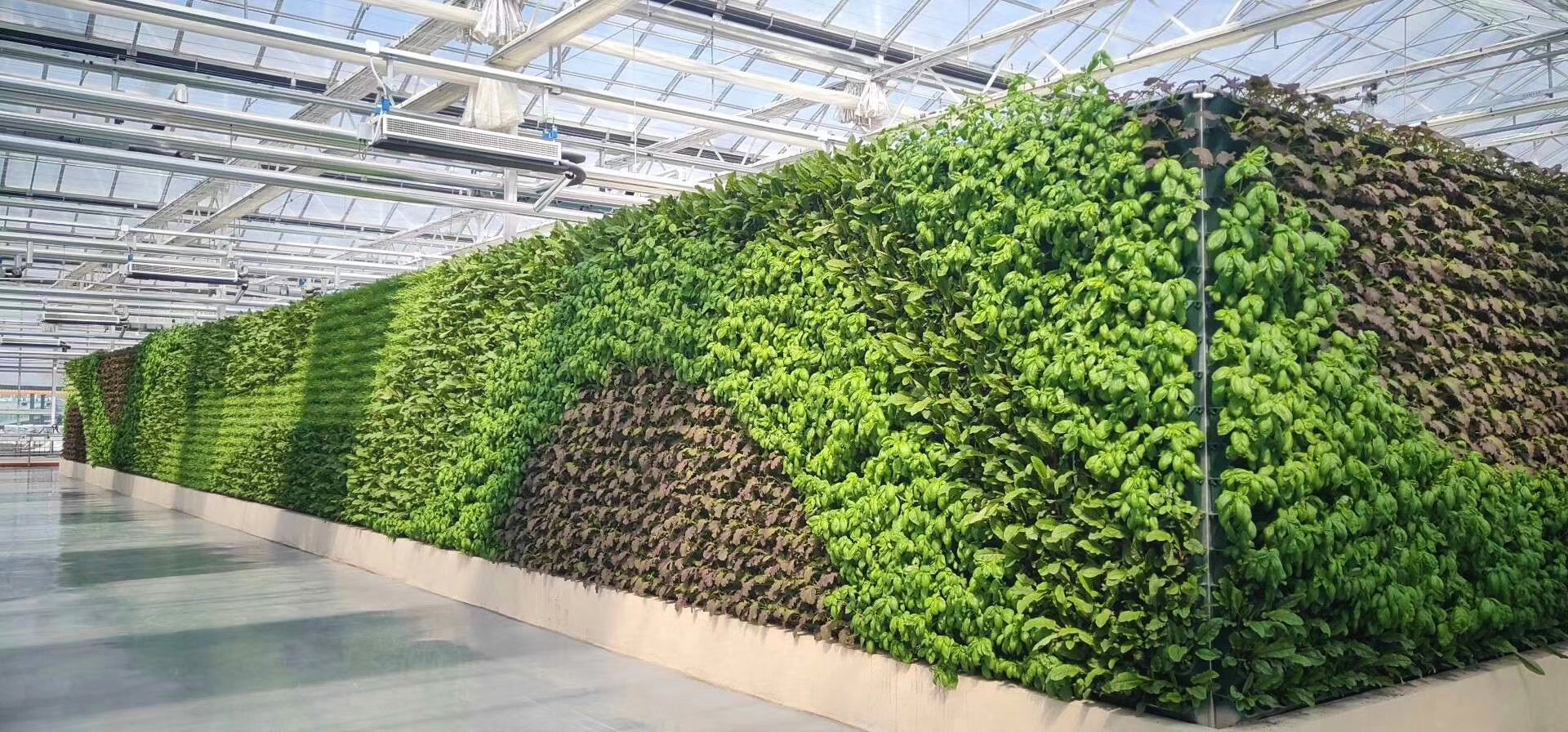 Customized Green Roof Planter manufacturers from China