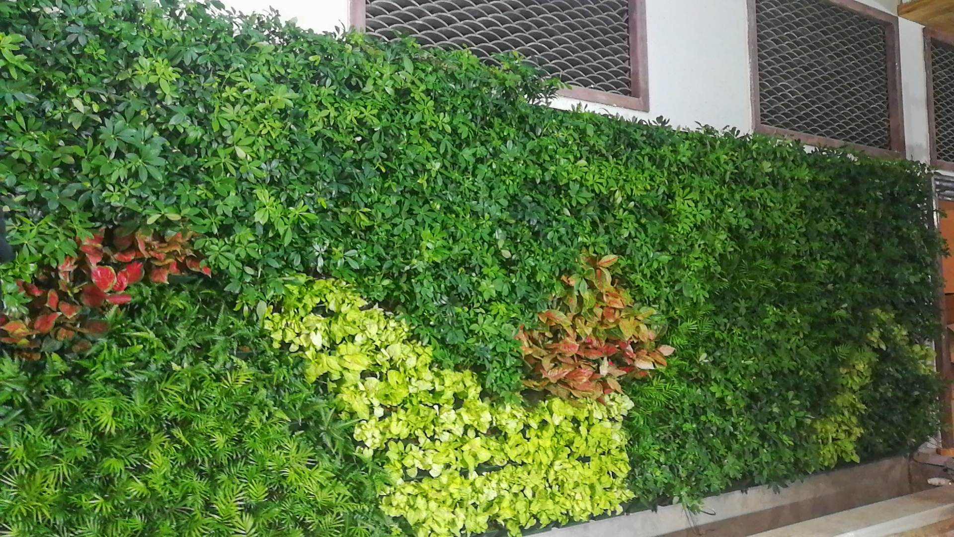 Discount Green Roof Planter suppliers from China