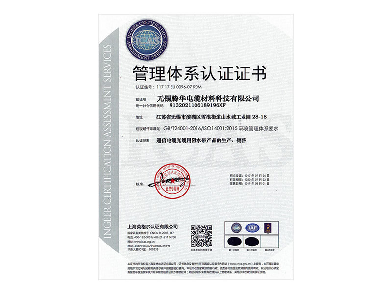 Management system certification