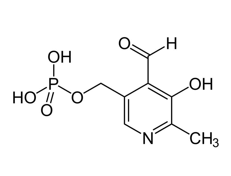 Pyridoxal Phosphate