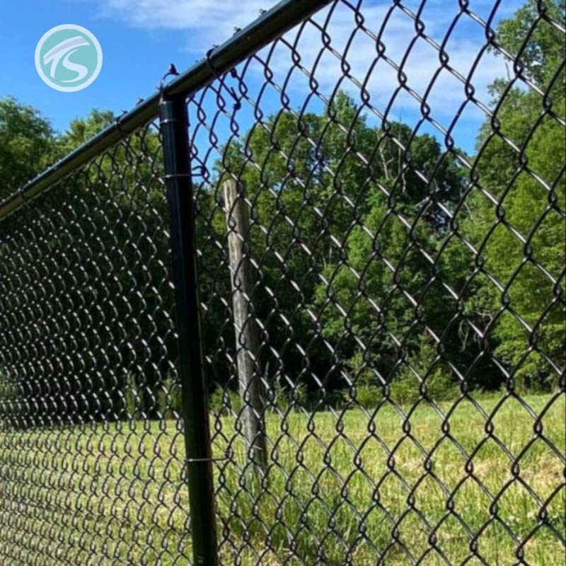 Length 100 Ft Roll Chain Link Fence 6ft Chain Link Fence Pvc Coated Farm Chain Link Fence
