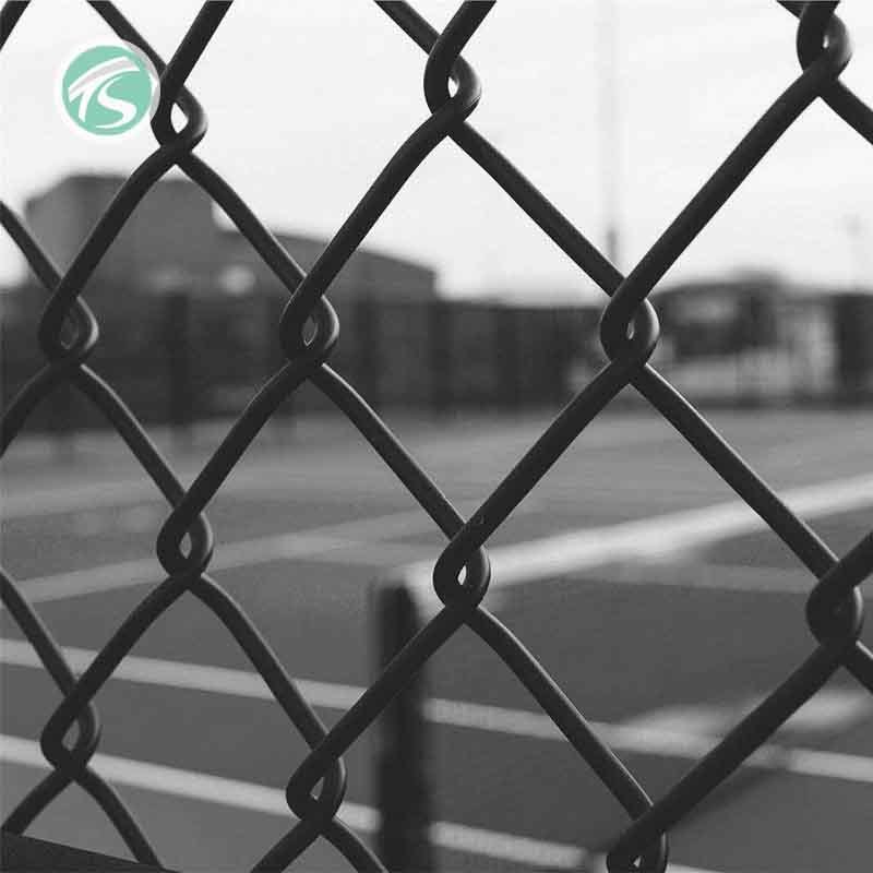 6 Foot Pvc Coated Green And Black Chain Link Fence Accessories Galvanized