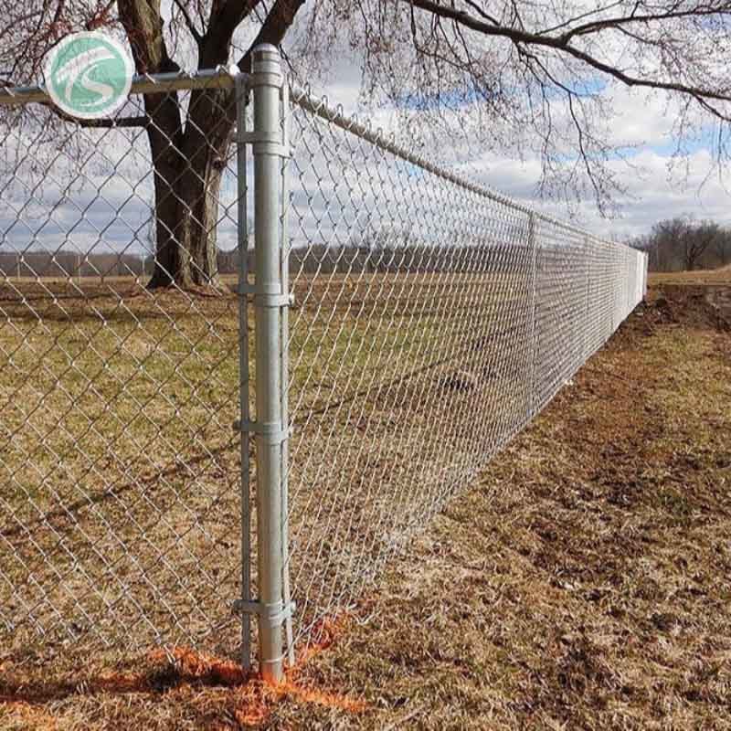 Best Quality Chain Link Fence 8 Foot Chain Link Fence Roll 50ft