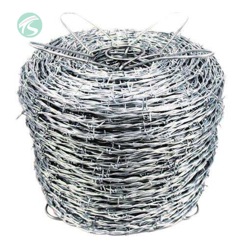 Border Protection Galvanized Barbed Wire Coil/barbed Iron Wire Mesh/galvanized Double Wire Barbed Wire
