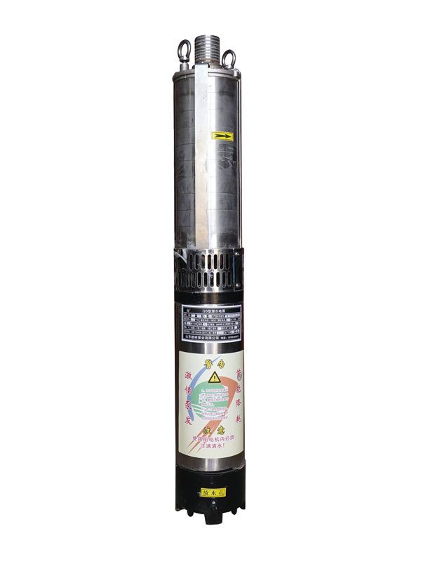 QL型潛鹵電泵-4