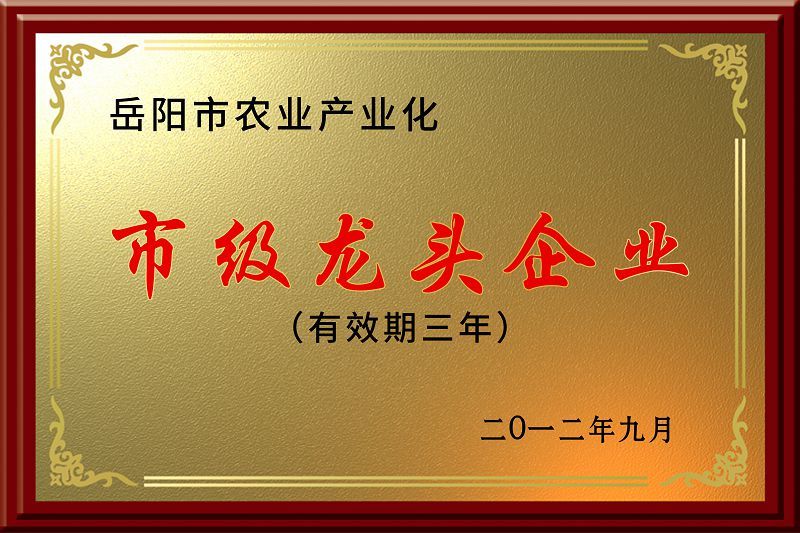 岳陽(yáng)市龍頭企業(yè)2012 岳陽(yáng)市龍頭企業(yè)2012
