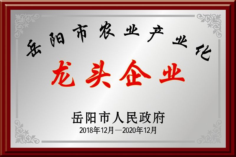 岳陽(yáng)市龍頭企業(yè)2018-2020 岳陽(yáng)市龍頭企業(yè)2018-2020