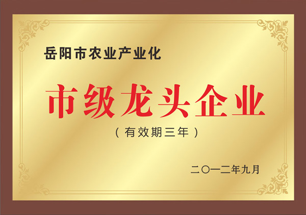 市級龍頭企業(yè)