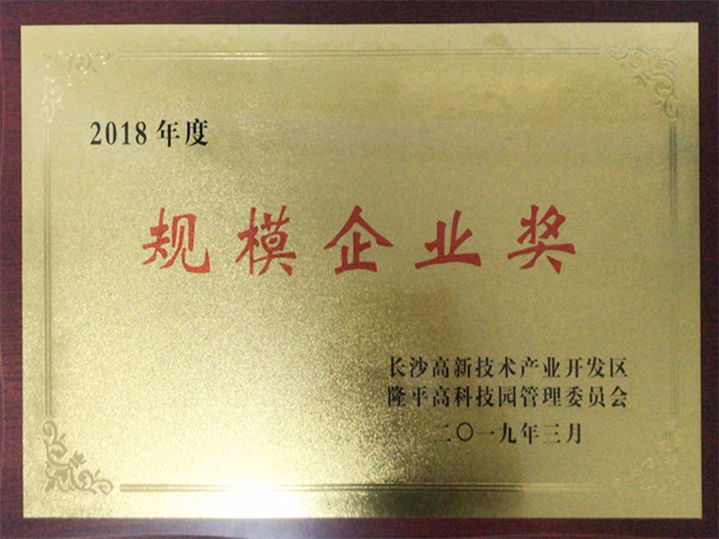規(guī)模企業(yè)獎(jiǎng)