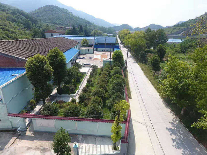 藥圣堂玄參基地