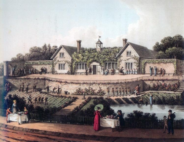 A garden is not a luxury, but a way of life – how the European middle class takes care of a private garden