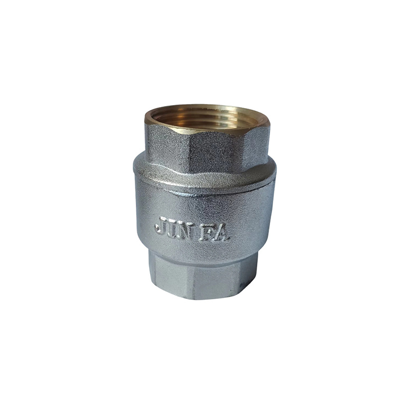 Vertical Check Valve